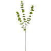 GloboStar Artificial Garden Eucalyptus Branch ������� ������������ ����� ���������� ������� �30 x �30 x �80m - (20484)