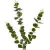 GloboStar Artificial Garden Eucalyptus Branch ������� ������������ ����� ���������� ������� �30 x �30 x �80m - (20484)
