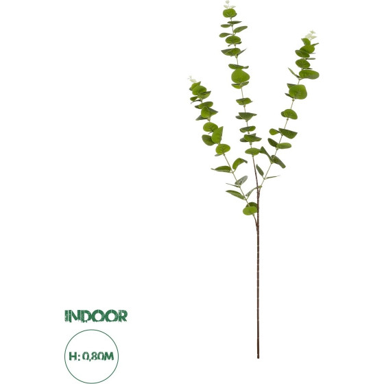 GloboStar Artificial Garden Eucalyptus Branch ������� ������������ ����� ���������� ������� �30 x �30 x �80m - (20484)