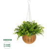 GloboStar Artificial Garden Eucalyptus Hanging Plant ������� �������� ������������ ���� ������ �45 x �45 x Y30cm - (20640)