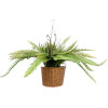GloboStar Artificial Garden Fern Hanging Bouquet Plant ������� �������� ������������ ���� ������ Y56cm - (20629)
