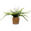 GloboStar Artificial Garden Fern Hanging Bouquet Plant ������� �������� ������������ ���� ������ Y56cm - (20629)