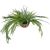 GloboStar Artificial Garden Fern Hanging Plant ������� �������� ������������ ���� ������ Y45cm - (20624)