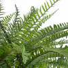 GloboStar Artificial Garden Fern Hanging Plant ������� �������� ������������ ���� ������ Y45cm - (20624)