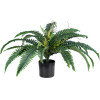 GloboStar Artificial Garden Fern ������� ������������ ���� ����� �40cm - (20058)