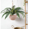 GloboStar Artificial Garden Fern ������� ������������ ���� ����� �40cm - (20058)