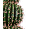 GloboStar Artificial Garden Ferocactus ������� ������������ ���� ���������� �85cm - (20137)