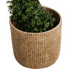 GloboStar Artificial Garden Giuseppe ������������ ������������ ����������� ����� ������� - Flower Pot ���� �35 x �33cm - (20800)