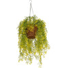 GloboStar Artificial Garden Golden Bell Willow Hanging Plant ������� �������� ������������ ���� ������� ���� �40 x �40 x Y60cm - (20626)