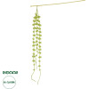 GloboStar Artificial Garden Green Amaranthus Fruit Branch 21453������� ������������ ����� �������� ��������� Y60cm - (21453)