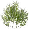 GloboStar Artificial Garden Green Palmleaf Branch ������� ������������ ����� ������� ������� Y90cm - (21155)