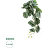 GloboStar Artificial Garden Hanging Alocasia ������� ������������ �������� ���� �������� �28 x �27 x �50cm - (20601)