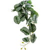 GloboStar Artificial Garden Hanging Alocasia ������� ������������ �������� ���� �������� �28 x �27 x �50cm - (20601)