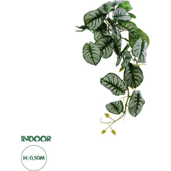 GloboStar Artificial Garden Hanging Alocasia ������� ������������ �������� ���� �������� �28 x �27 x �50cm - (20601)