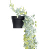 GloboStar Artificial Garden Hanging Datura ������� �������� ������������ ���� ������� �24 x Y80cm - (20864)