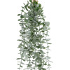 GloboStar Artificial Garden Hanging Eucalyptus ������� ������������ �������� ���� ���������� �16 x �9 x �105cm - (20807)