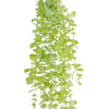 GloboStar Artificial Garden Hanging Eucalyptus ������� ������������ �������� ���� ���������� �16 x �9 x �105cm - (20811)