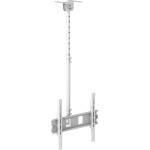 Gbs Elettronica Jolly Line TCM-3280 - ����������� ���� �������� ������ Tv 30-80''