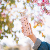 Pusheen - Stainless Steel Thermal Bottle With Handle From The Sushi Roll Collection 500 Ml - (BMA09)