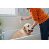 Virbac Allerderm sensitive skin - shampoo for dogs and cats - 250 ml