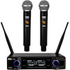 DNA PROFESSIONAL - wireless microphone, 2 handheld transmitters + base unit (560-590 MHz) - (DVS2)
