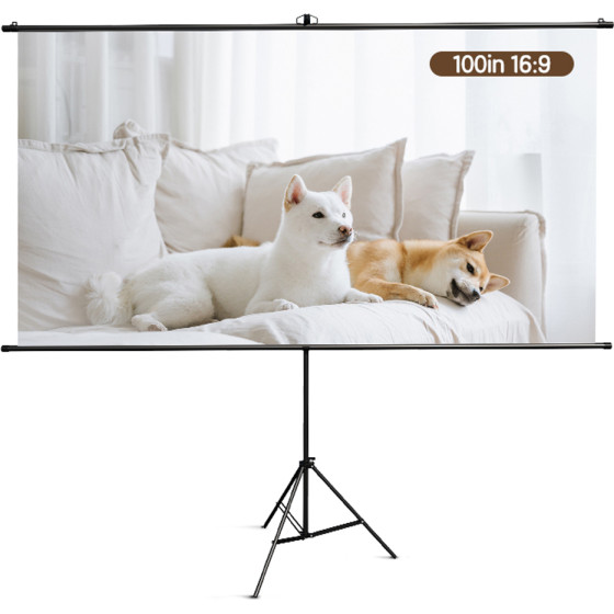 DELI Bracket Projector Screen 100' Black - (ES903)