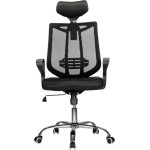 DELI Headrest Mesh Chair Black - (E4511)