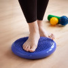 Wozinsky Sensory Cushion For Rehabilitation Hedgehog - Blue - (WPSD-01)