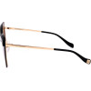 Ana Hickmann sunglasses 04A (64/13/140) - (AH3177)