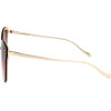 Ana Hickmann sunglasses 04C (00/00/140) - (AH3169)