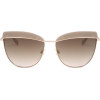 Ana Hickmann sunglasses D02S (59/16/145) - (AH3190)