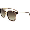 Ana Hickmann sunglasses G21 (55/19/145) - (AH9247)