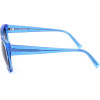 Bobsdrunk sunglasses 213 (53/18/145) - (ADA/S)