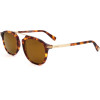 Canali sunglasses C02 (50/21/142) - (CO214)