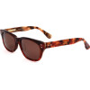 Derek Lam sunglasses LTORT 53 0 0 - (PARKL)