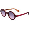 Epoca sunglasses C2 (42/27/145) - (E4003)