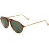 Hackett Bespoke sunglasses 152 (51/17/150) - (HEB239)