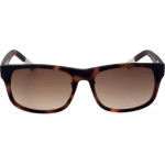 Kris Van Assche by Linda Farrow sunglasses C6 (56/16/000) - (KVA43)