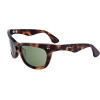 Marni sunglasses 9FD (60/20/130) - (ISAMU HAVANA)