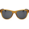 Phillip Lim by Linda Farrow sunglasses C1 (53/19/145) - (PL147)