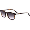 Safilo sunglasses 086 (50/19/145) - (BURATTO 03/S)