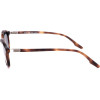 Safilo sunglasses 086 (51/20/145) - (LASTRA 04/S)