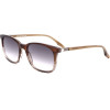 Safilo sunglasses CSR (54/19/145) - (LASTRA 07/S)