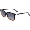 Safilo sunglasses WR7 (54/16/145) - (LASTRA 01/S)