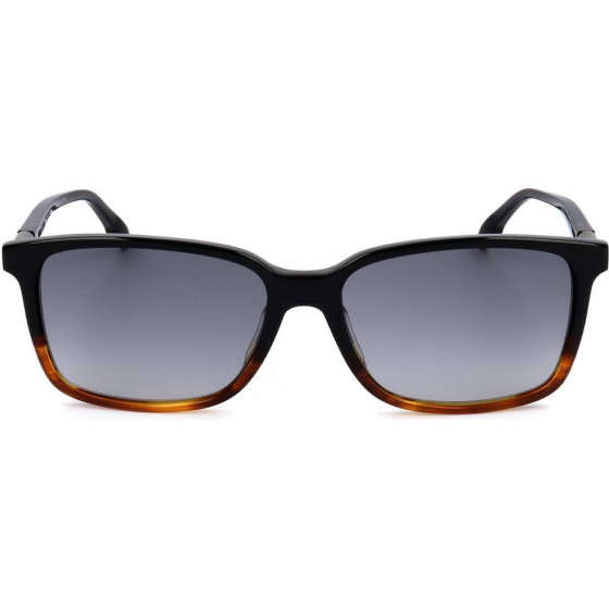 Safilo sunglasses WR7 (54/16/145) - (LASTRA 01/S)