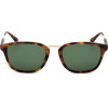 Sandro sunglasses 201 (51/19/145) - (SD1007)