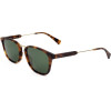Sandro sunglasses 201 (51/19/145) - (SD1007)