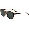 Sandro sunglasses 206 (50/19/145) - (SD1008)