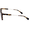 Sandro sunglasses 206 (56/16/145) - (SD1009)