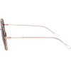 Sandro sunglasses 484 (54/19/140) - (SD8013)
